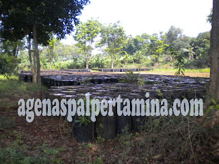 Agen Aspal Pertamina - Produk Aspal Berkualitas untuk Konstruksi Jalan